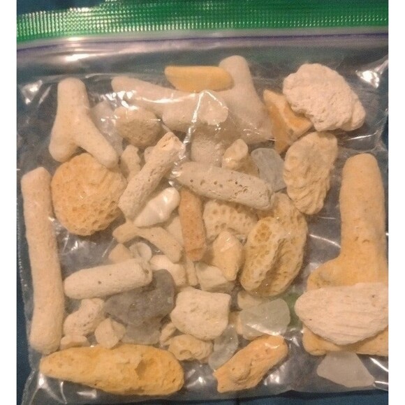 Corals and Beach Gems - Picture 2 of 7